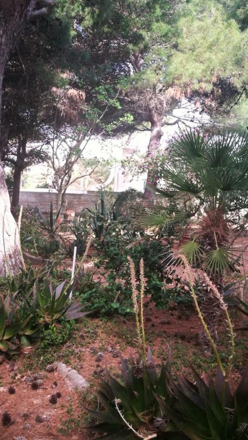 Apartmán Il Giardino Su Lido Burrone Favignana Exteriér fotografie